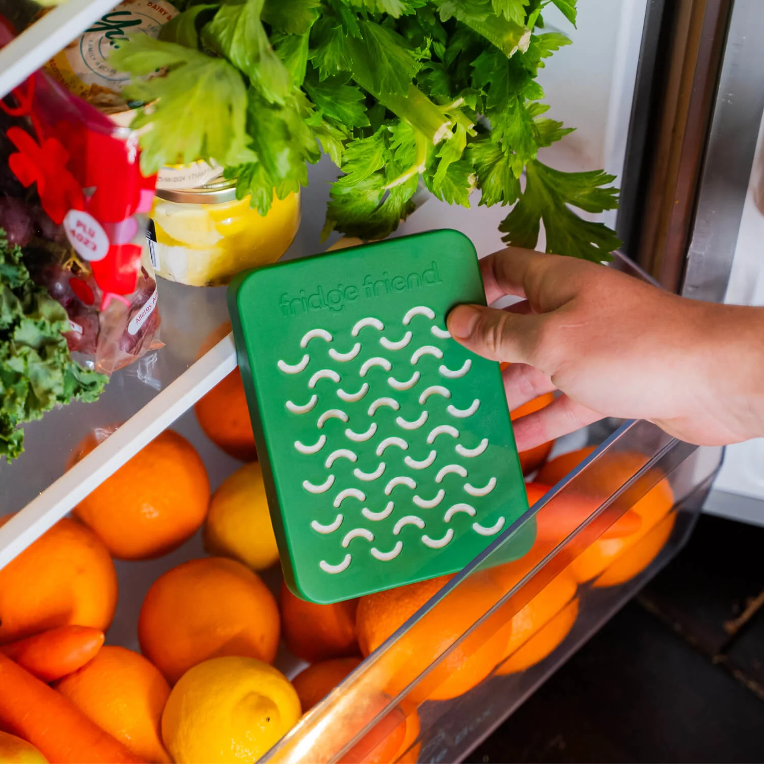 Fridge Friend ethylene absorber