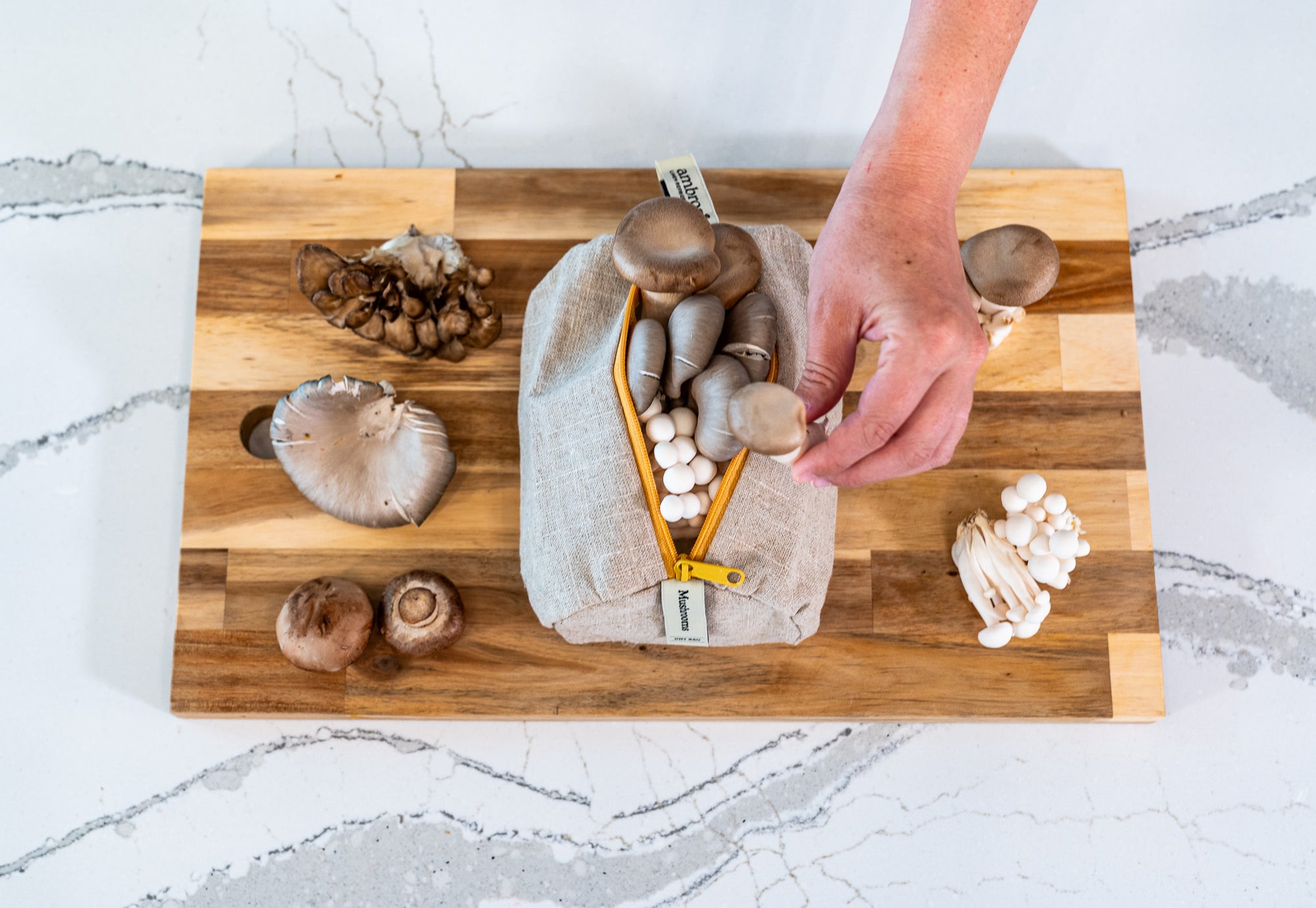 Mushroom Storage Bag