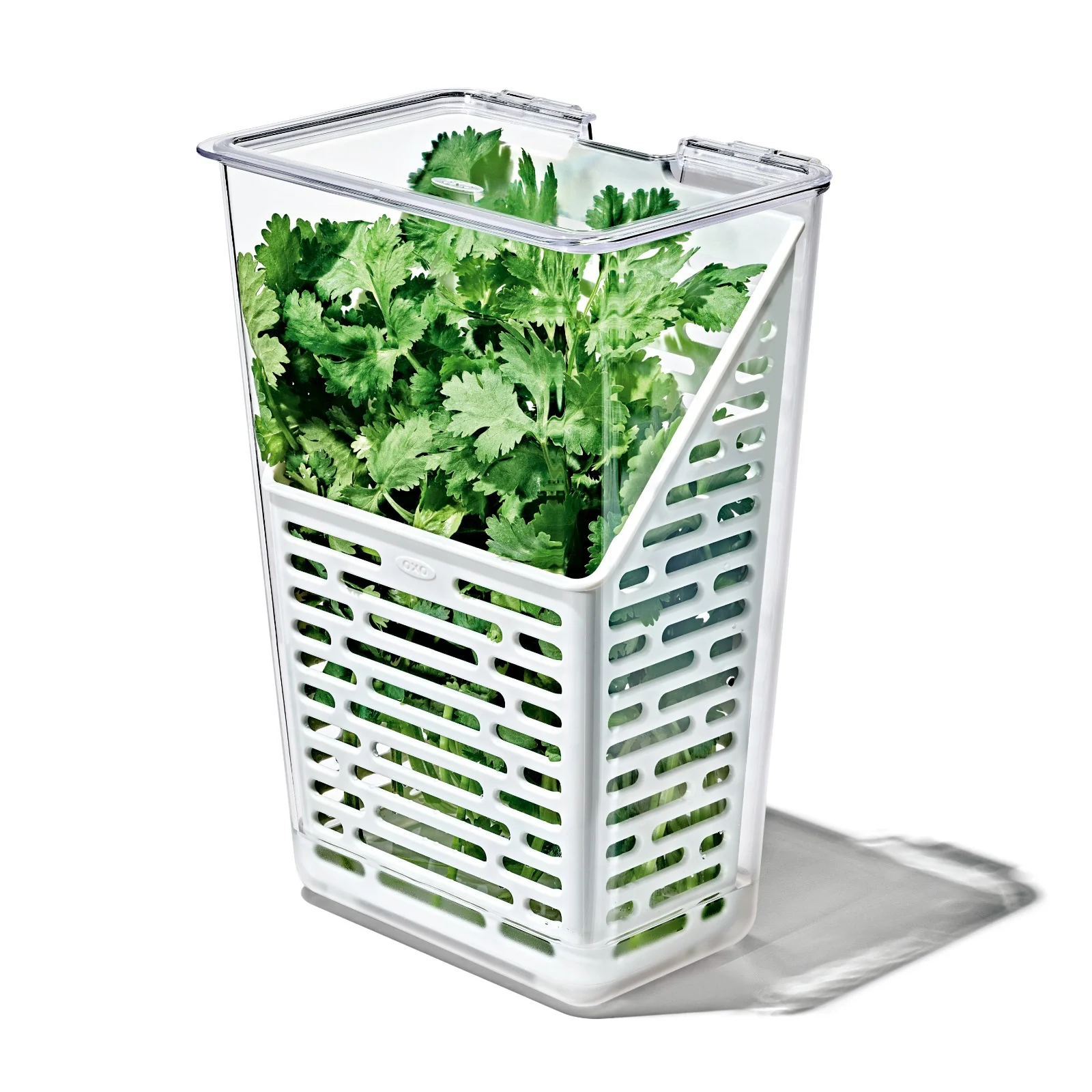 Produce Saver Herb Keeper