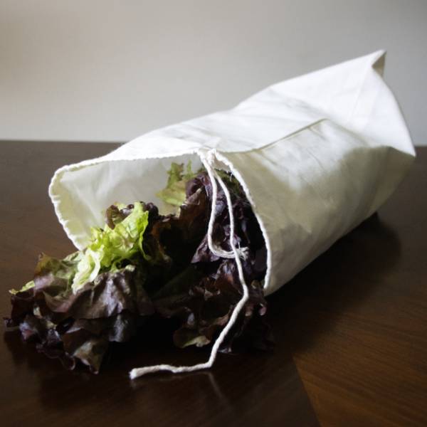 Salad Saver Storage Bag